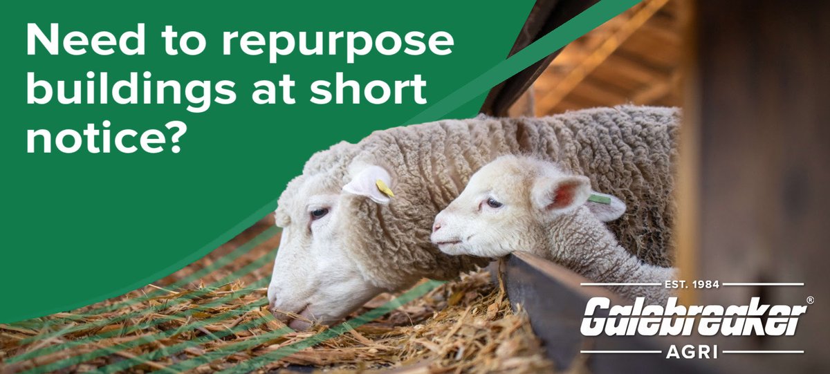 Has the cold weather increased your need for sheep housing during lambing season? Galebreaker’s fabric solutions offer flexible weather protection and ventilation products allowing buildings to be repurposed at short notice. hubs.la/Q02_L5zz0 
#lambing2024 #lambingseason