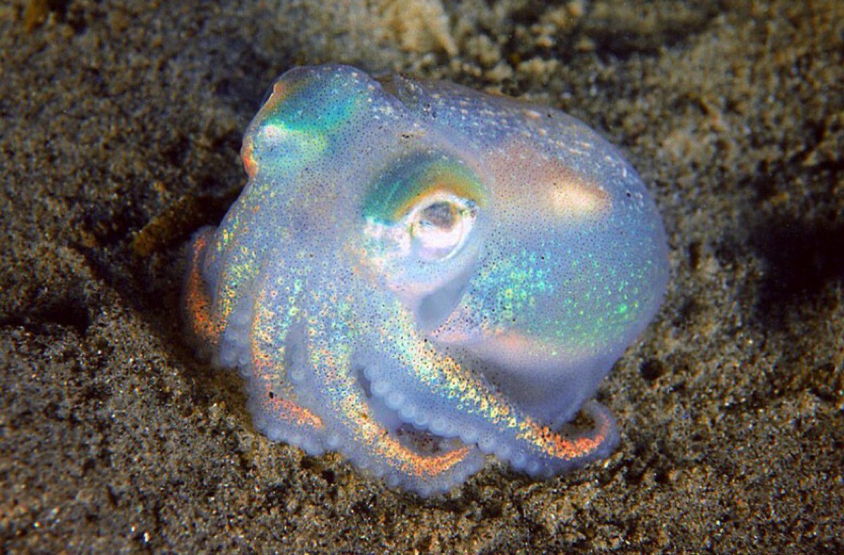 테마파크 PNG 일러스트 | 이미지 및 PSD 파일 | Pngtree에 무료 다운로드, image size:1200x789