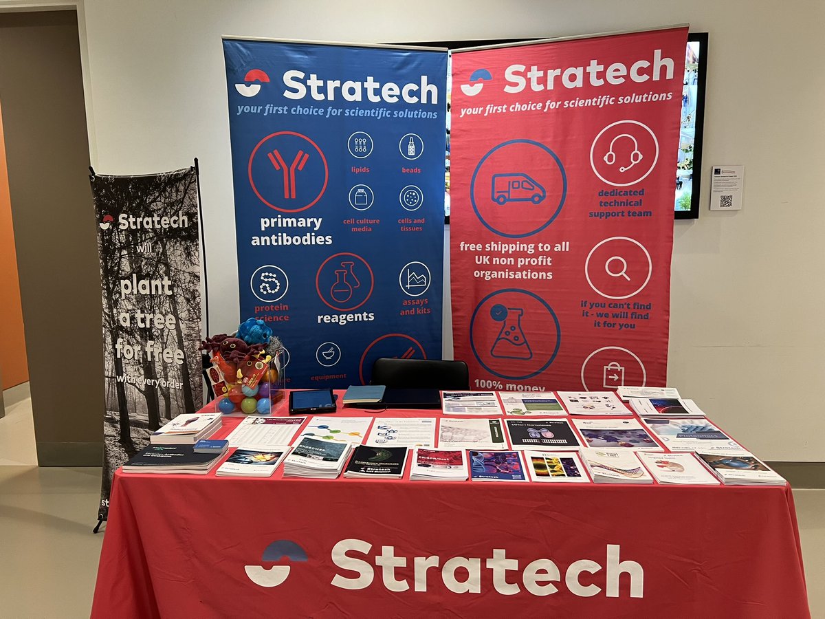 Adam Stratech tweet media