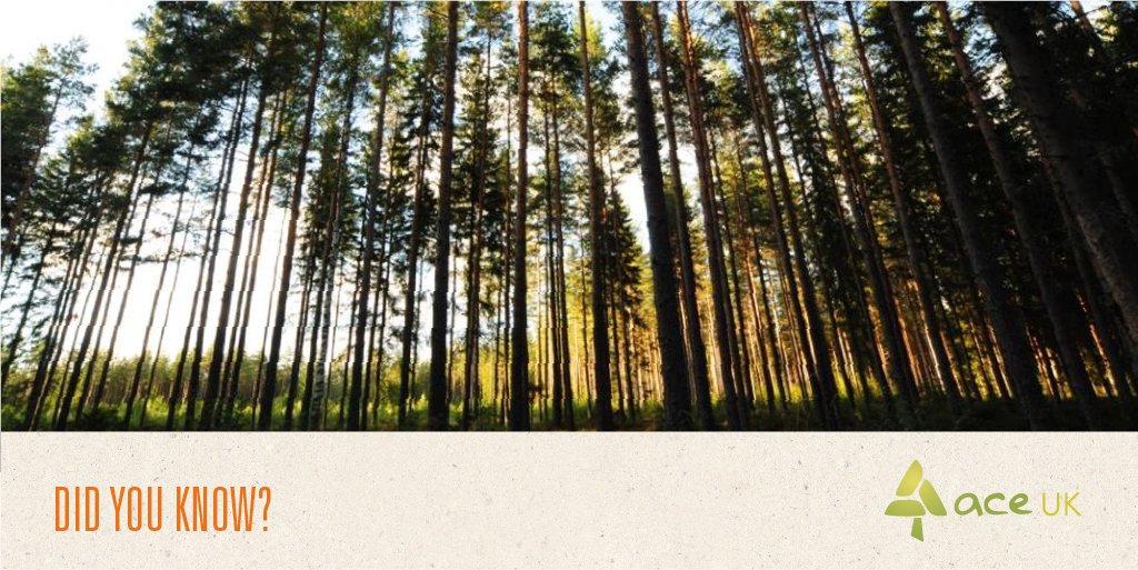 re:cartons tweet media