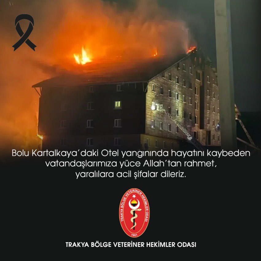 Polat Türkoğlu tweet media
