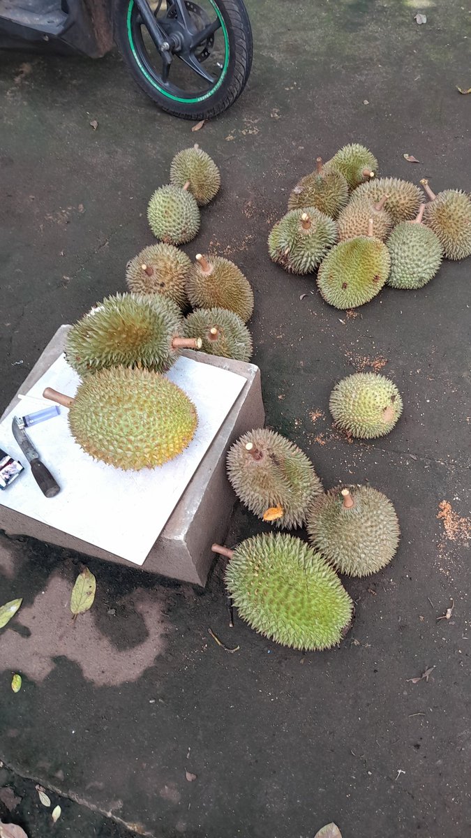 Gipeng11's tweet photo. Intinya kalo masih awal, 1+1=2 https://t.co/nBYJOZspXD