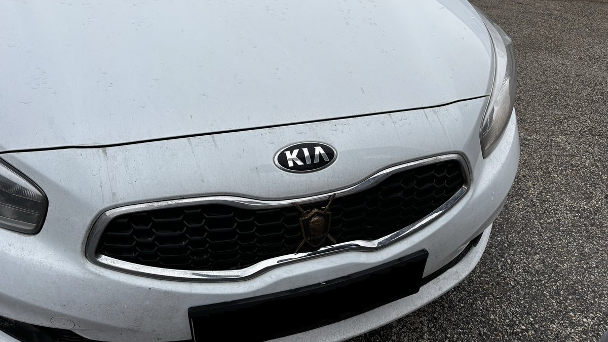 Fallen Knight tweet media