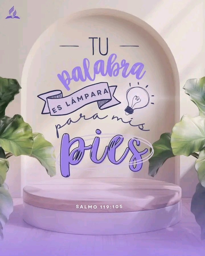 👉 Estudiar la Biblia hace bien, pues cada vez que meditamos en su Palabra, alumbramos nuestra vida para dejar de tropezar y avanzar a paso firme. 

¿Ya estudiaste tu Biblia Hoy? 📖

¡Buenos días! 🌞 
#FelizMiercoles #DiosTeBendiga