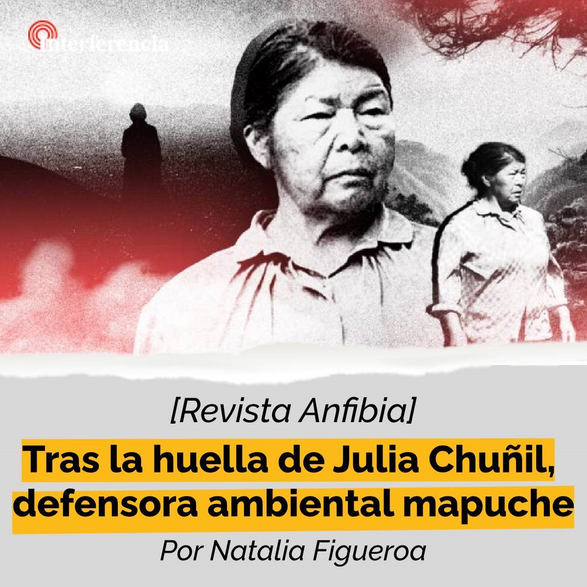 Interferencia tweet media