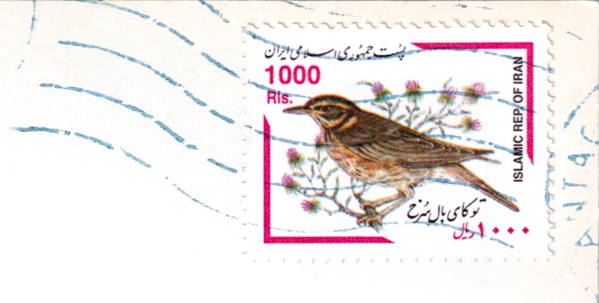 mercipourlacart's tweet photo. Timbre Islamic Rep. of Iran, Grive mauvis (Turdus iliacus), 1000 Rials, 2000
Voir la carte postale correspondante :
Forest dwellers, Talesh, northern Iran
https://t.co/g1XmwCSYs0
#timbre #timbreposte #stamp #Iran #grive #oiseau
#طابع_بريدي
#طوابع_بريدية
#بريدية
#إيران https://t.co/7o22FQYZ3o