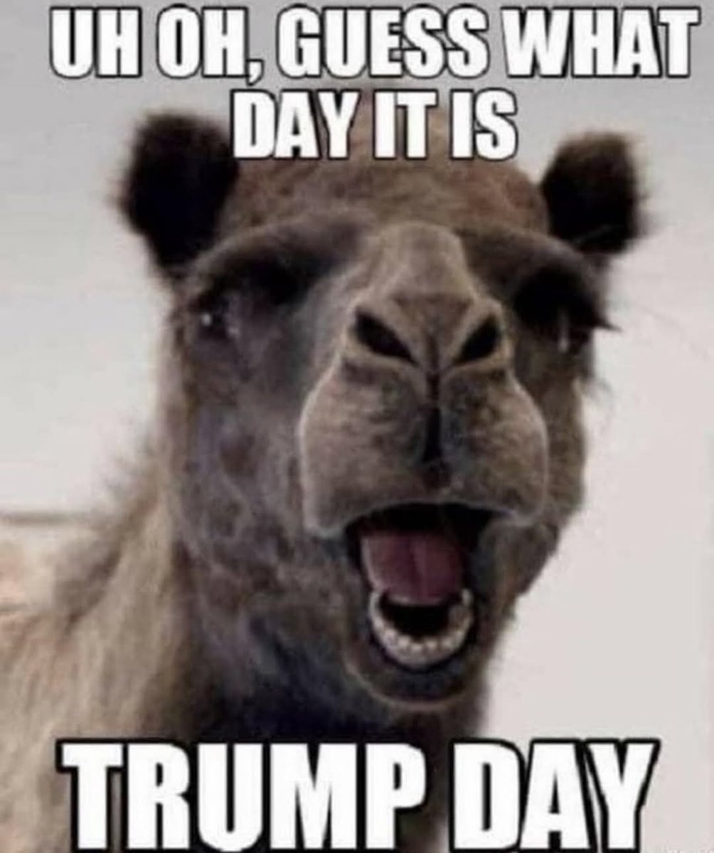 1BethDutton's tweet photo. Guess what day it is? https://t.co/vv2UlQpuGi