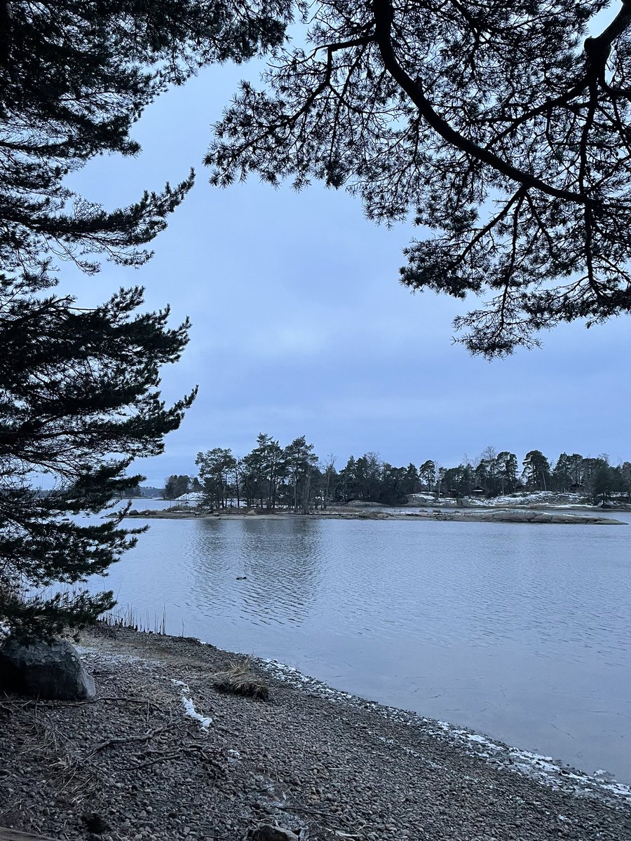 Rüdiger Strempel tweet media