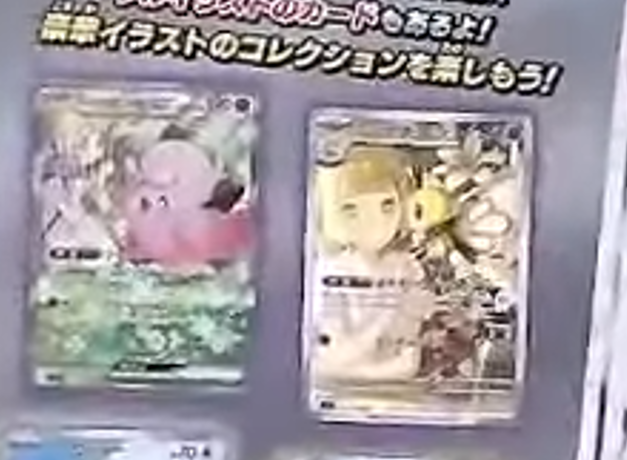 公式生放送の開封動画で登場した「コレクションファイルセット N」冊子