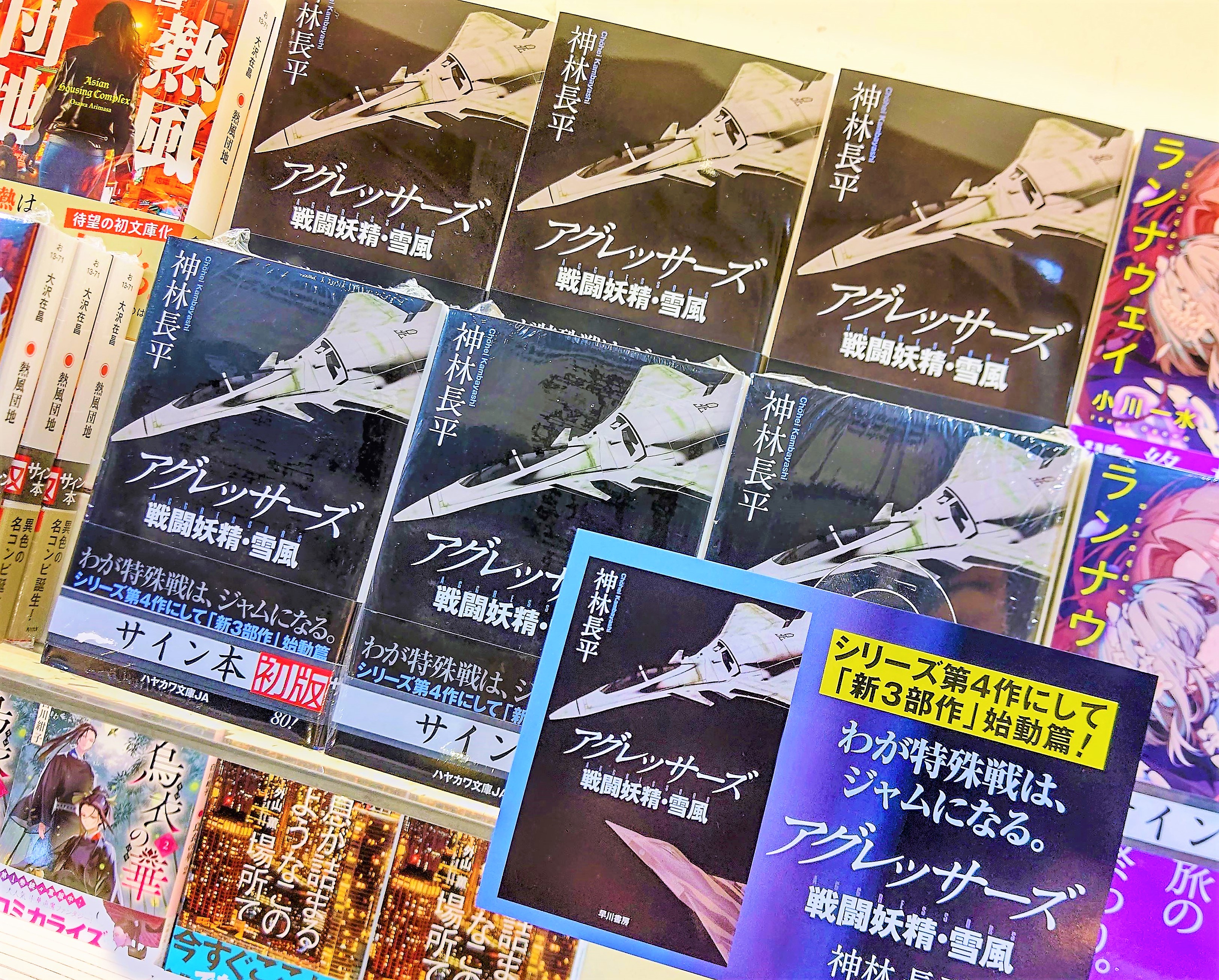 Amazon.co.jp: アグレッサーズ 戦闘妖精・雪風 (ハヤカワ文庫JA
