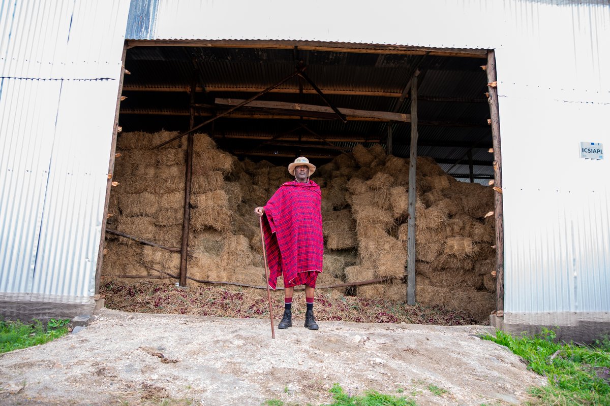 🍃Resilient futures start with people on the frontlines of climate change. Investing in local communities is crucial for an equitable and sustainable world.  Discover how communities are leading climate action👉 snv.org/local-action-g…
#SNVImpactThatMatters