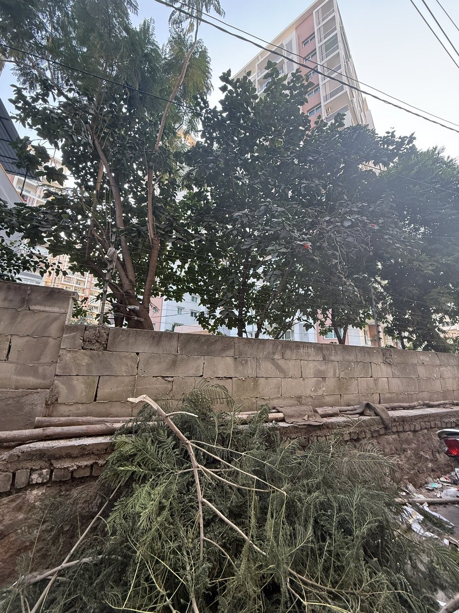 MPyadav07's tweet photo. #DSR Fortune Prime a  gated community apartments in madhapur has dumped all the cut down tree branches on the other side of the compound wall,Making the other side unhygienic and messy. @CommissionrGHMC please take action for their negligence . #swatchtelangana @revanth_anumula https://t.co/i3NCLM5o9x