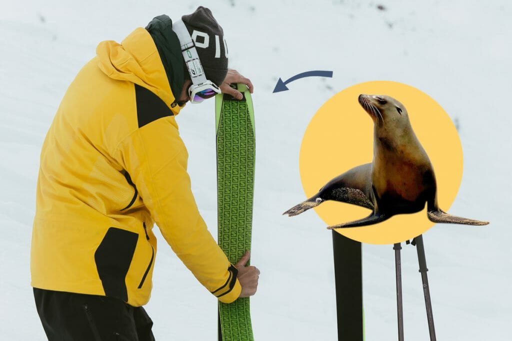 [#Biomimétisme] Quand l’#innovation s’inspire de la #Nature tinyurl.com/yckx5xuf v/<a href="/chilowe_/">Chilowé</a> #biodiversité #biologie #bioinspiration #innovation @Biomimexpo