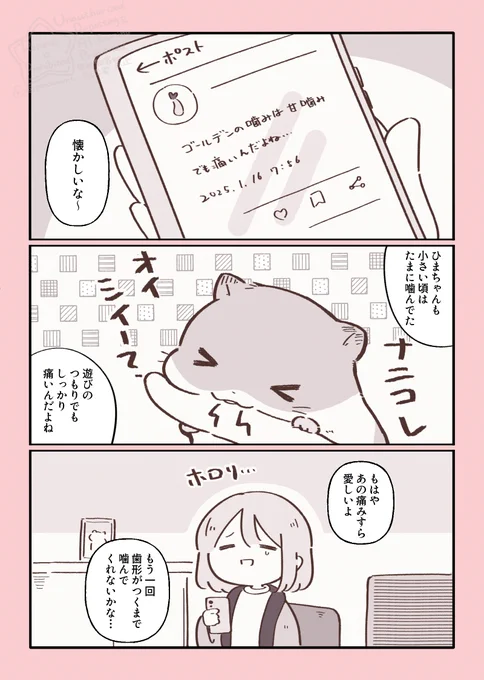 ハムスターと天国の面接 かじかじのおもひで 
