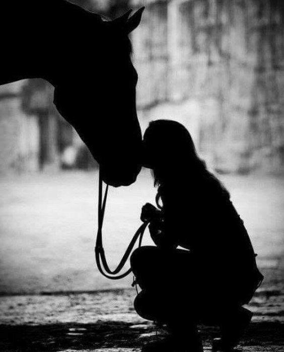بالحديث عن الدعم قد بنيتي قصراً من حطامي.♥️