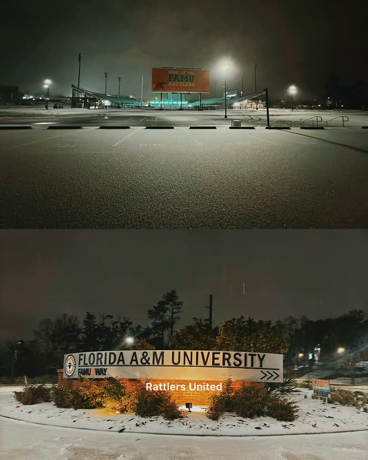 RattlerPit's tweet photo. The Beautiful FAMU Campus 😍⛄ ☃️ 🌨️❄️❄️ 🐍 🐍 🐍 

Via  📷 @rattlersunited https://t.co/EptGtTSOJX