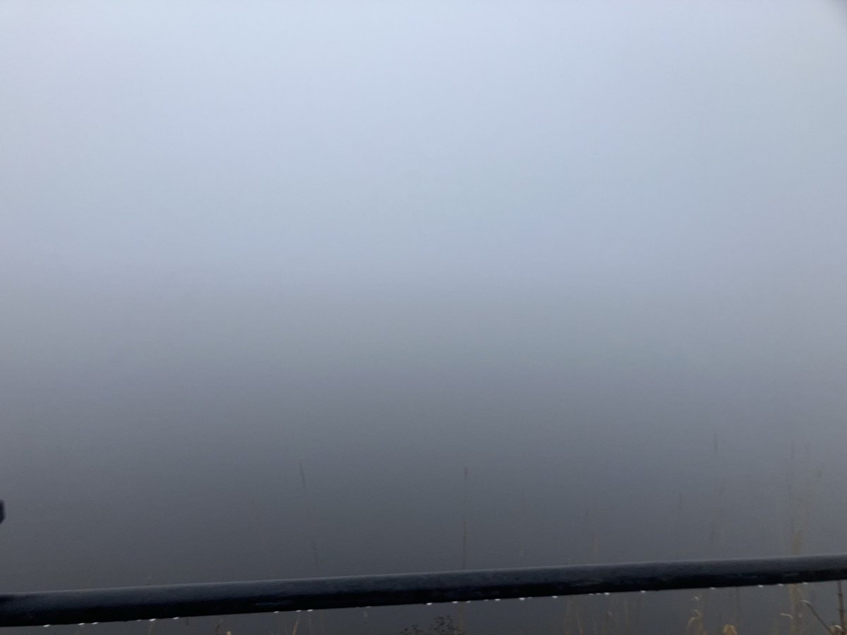 Pea souper at hollingworth lake this morning