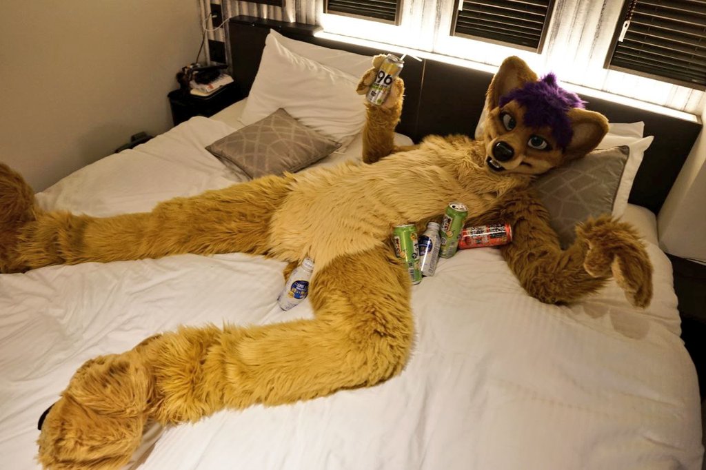 Kal Dingo (@kalthedingo) on Twitter photo Alcohol is so cheap in Japan! Alcohol is so cheap in Japan!