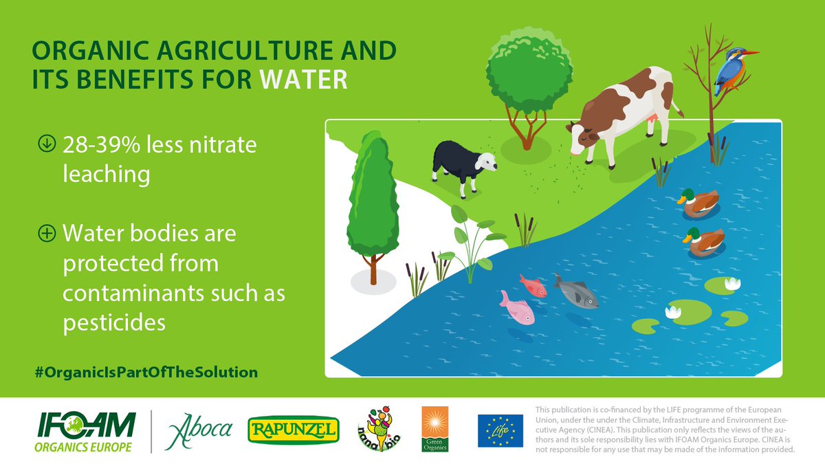 Organic farming plays a pivotal role in preserving water quality💧 
By reducing nitrate leaching and saying no to synthetic pesticides &amp; fertilisers, organic takes care of this precious resource 🌱💙
Explore organic's benefits for water in our infographic👇ow.ly/w3CV50UJHCT