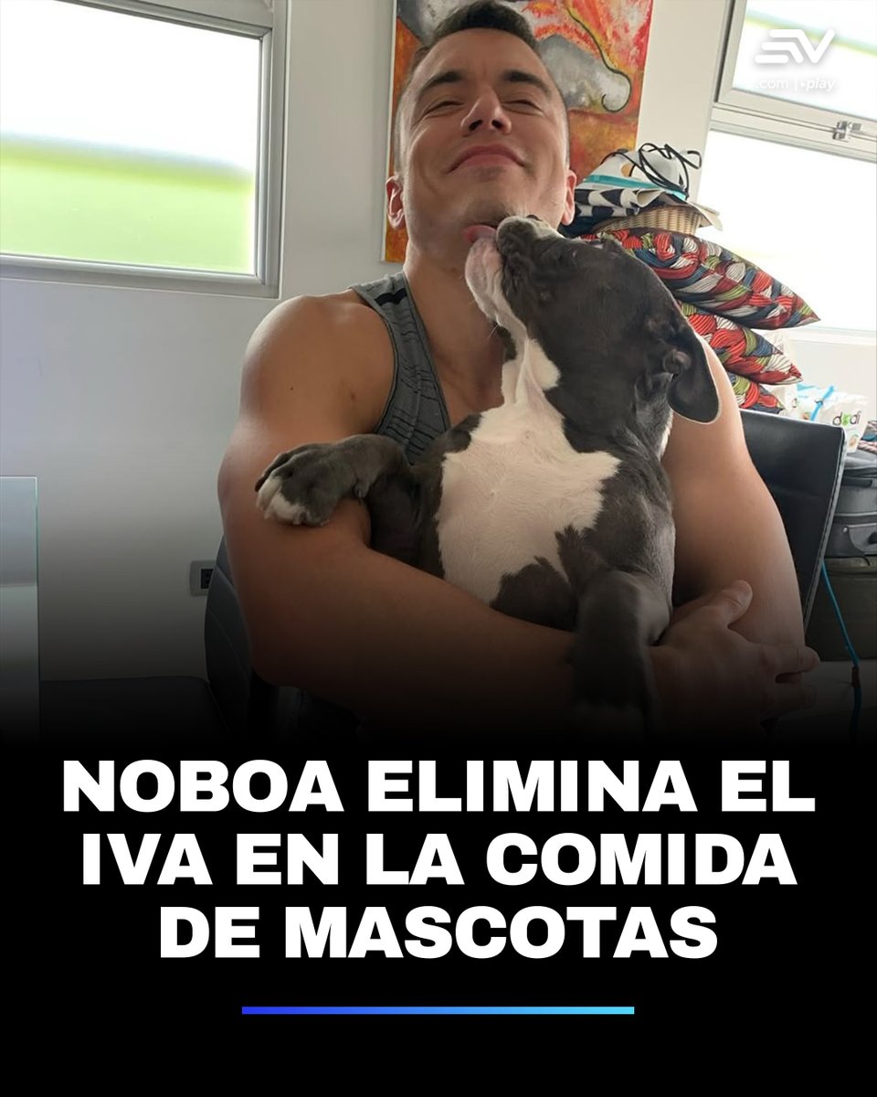 🐶 El presidente Daniel Noboa anunció la eliminicación del Impuesto al Valor Agregado (IVA) en los alimentos para mascotas. Su objetivo es que sean más accesibles y económicos ▶️ bit.ly/3Wt9vec