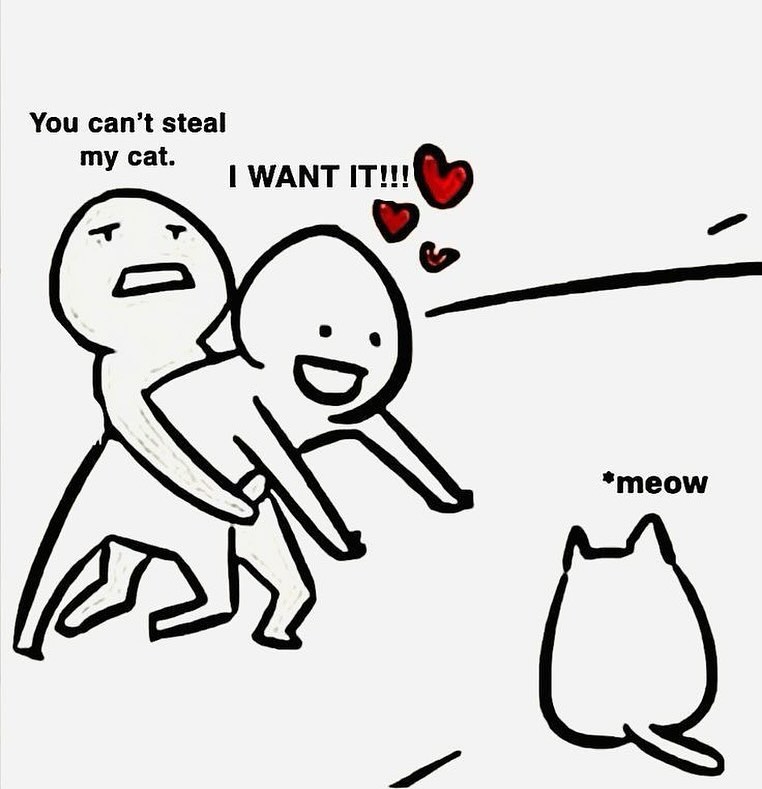 PunchingCat's tweet photo. https://t.co/ZthfHkJnR1