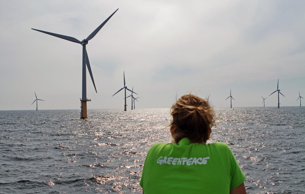 JanieckS's tweet photo. Vroeger beschermde Greenpeace walvissen, dolfijnen en vogels. Tegenwoordig vermoorden ze die.
 
Greenpeace is een parodie van zichzelf geworden. https://t.co/FWueAXHA7g