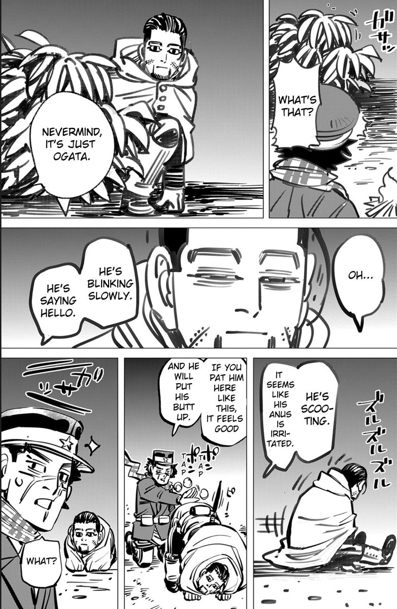 edle🐬 tweet media