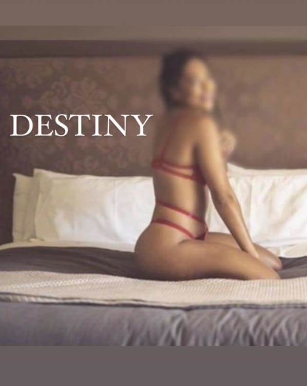 KunfuAsia's tweet photo. I am AVAILABLE NOW in Melbourne

https://t.co/gnEnzOSz3I

- you find me on Realbabes - https://t.co/rGIYPcbcLm