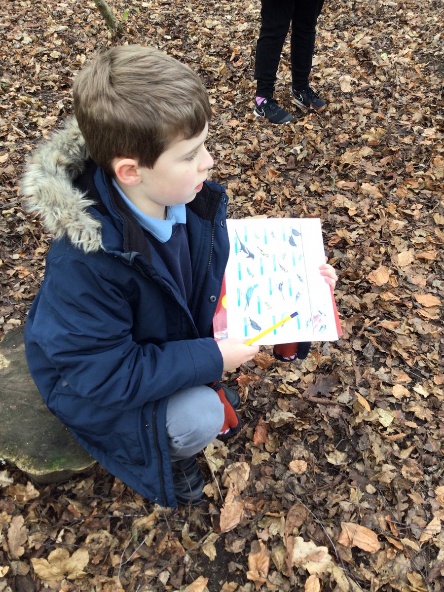 LK are excited to be part of the ‘Big Bird Watch’. We went outside around our school gardens to observe different types of birds using an identification sheet. We had a tweet-tastic time!
