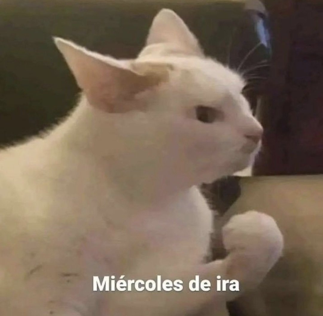 En Júpiter (@en_jupiter_) on Twitter photo 