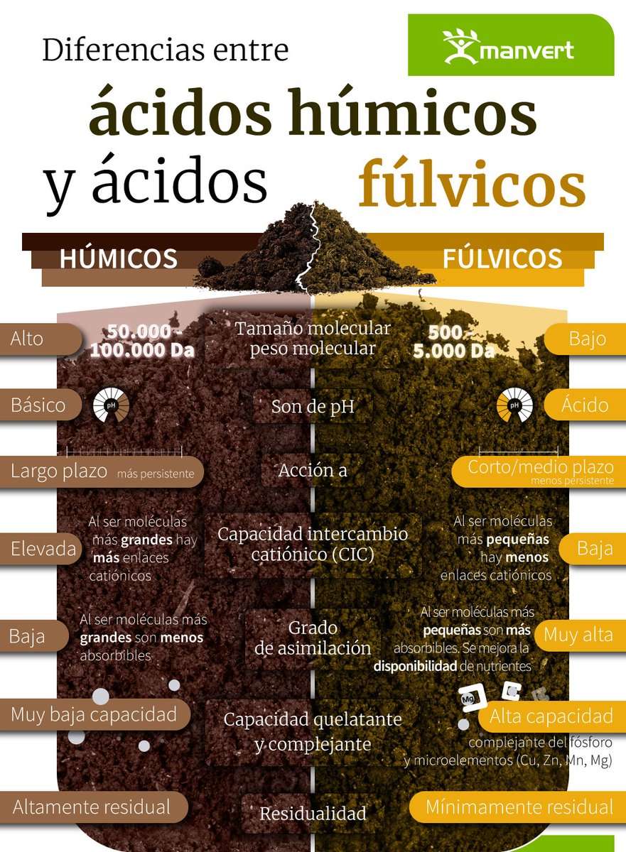 manvert_'s tweet image. ¿Conoces las diferencias entre los ácidos #húmicos y #fúlvicos?
Te las contamos 👇 

Si quieres profundizar en este tema, lee el artículo &quot;Qué son los ácidos húmicos y fúlvicos, y qué beneficios tienen&quot;📲 bit.ly/49naZL1

#AgriculturaSostenible