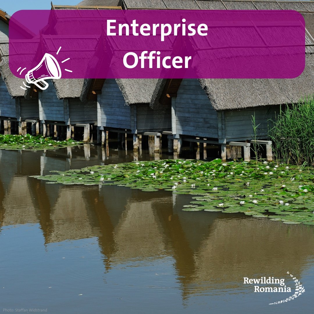 We are looking for an Enterprise Officer for our growing team in the Danube Delta. shorturl.at/DeZU0 #rewilding #Nature #business #community #strategy #Networking #people