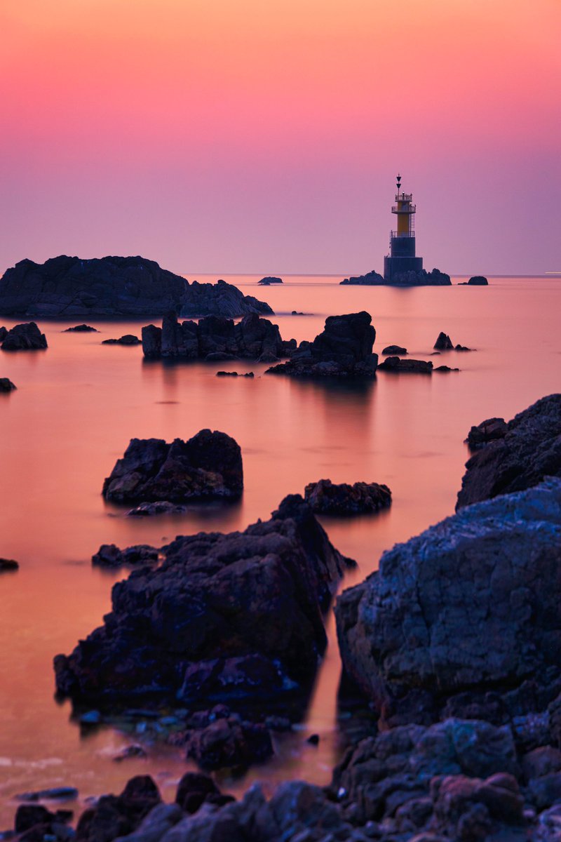 Jason Teale Photo tweet media