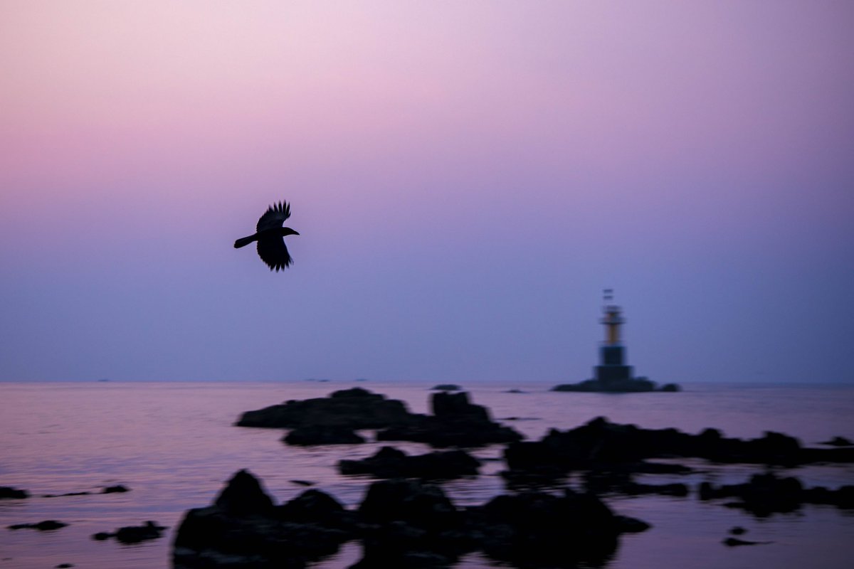 Jason Teale Photo tweet media