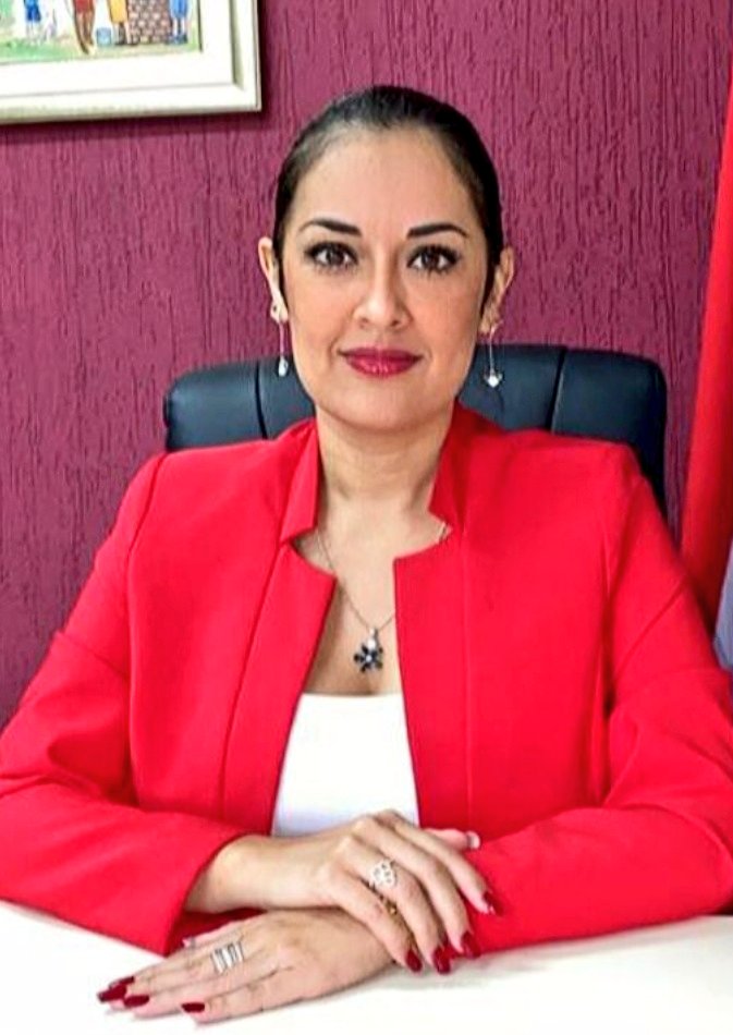 Raúl Ramírez Bogado tweet media