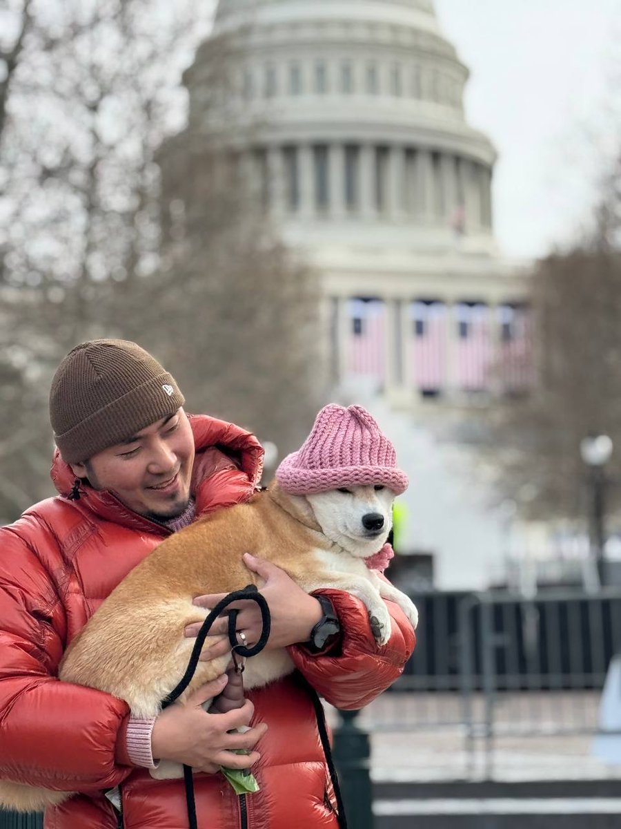 dogwifcoin's tweet image. dog wif adventure