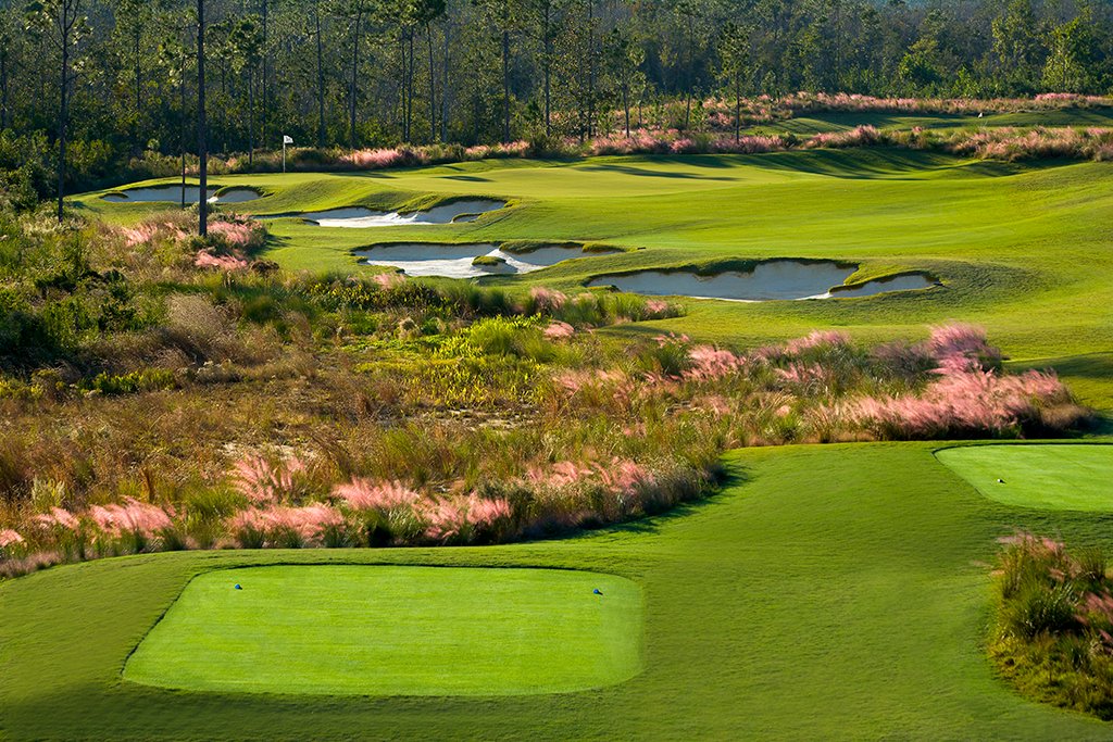 Native grasses and plants add appeal to golf course roughs, but they still require some maintenance.
jerrypatedesign.com/maintaining-na…

#nativeroughs #golfcourseroughs #golfcoursemaintenance #golfcourselandscaping #golfcoursedesign #jerrypatedesign