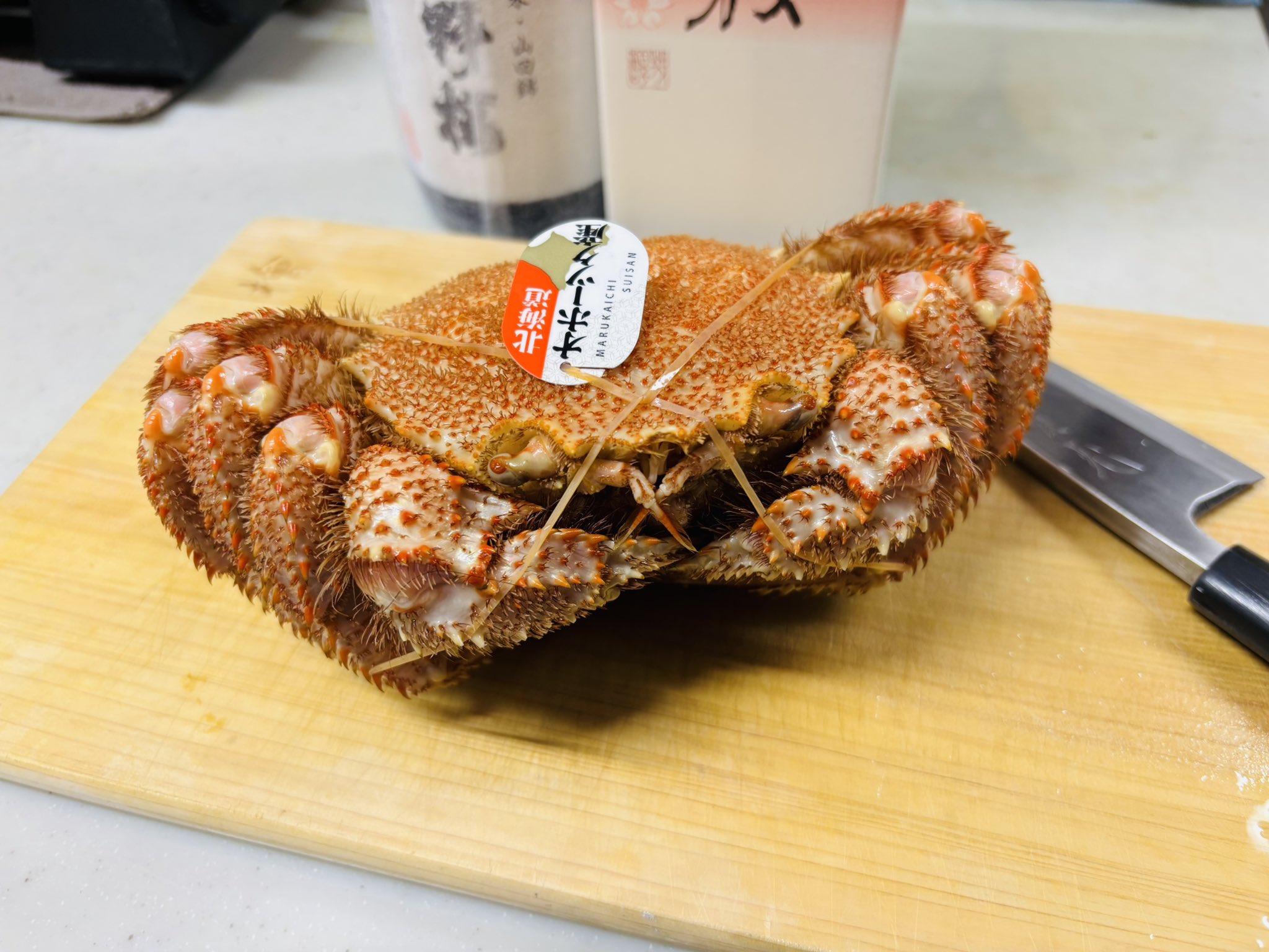 サカナさん sakana サカナさん (@benisake1) / X