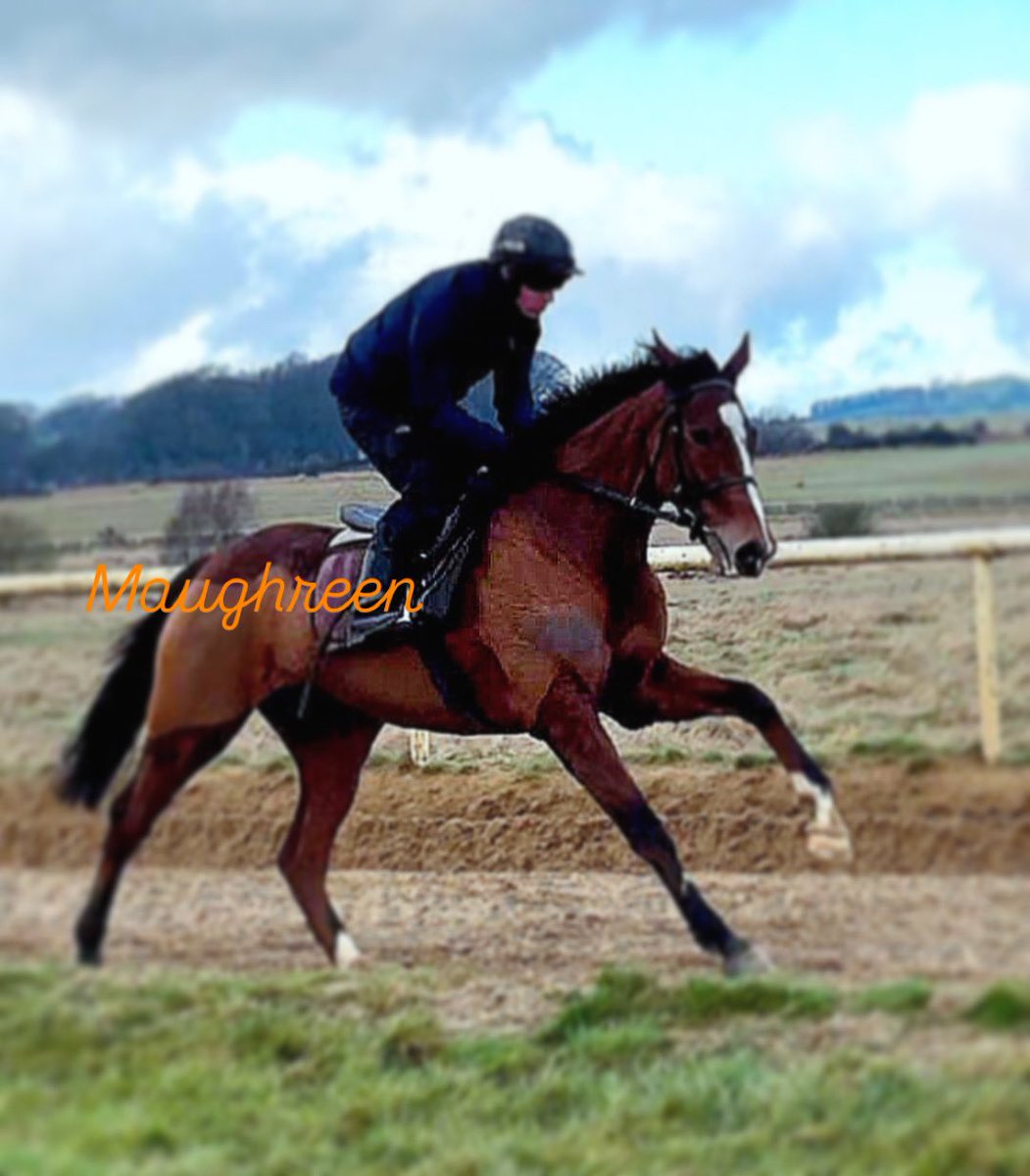 Closutton Racing Club tweet media