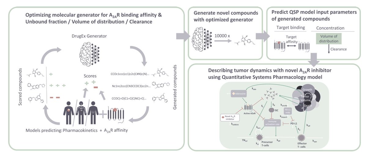 Integrating Pharmacokinetics and Quantitative Systems Pharmacology Approaches in Generative Drug Design

1. This study demonstrates the integration of pharmacokinetic (PK) and pharmacodynamic (PD) considerations into the DrugEx generative drug design framework, addressing the