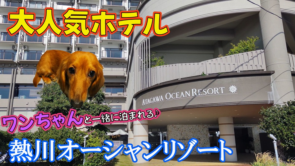 M50SLgokuu's tweet photo. 本日はワンちゃんと一緒に泊まれる施設🧐
第２弾をお送りいたします😍

最近、愛犬と一緒に宿泊できる施設にハマっております☺️
良かったら最後までご視聴くださいね🥰

👇本日、18:00より配信👇
https://t.co/G2EEjQnqoH

#熱川オーシャンリゾート
#熱川温泉
#ワンちゃんと一緒に泊まれる https://t.co/zsiYAl2Ksg