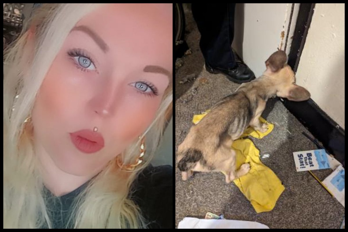 Please retweet, CONVICTED | April louise Rushford, 35, from  #SOUTHAMPTON  #HAMPSHIRE #UK - AVOIDS JAIL‼️-  left her two French bulldogs without food or water in an empty house‼️
The starving, emaciated animals were discovered after the landlord realised the dogs had been left
