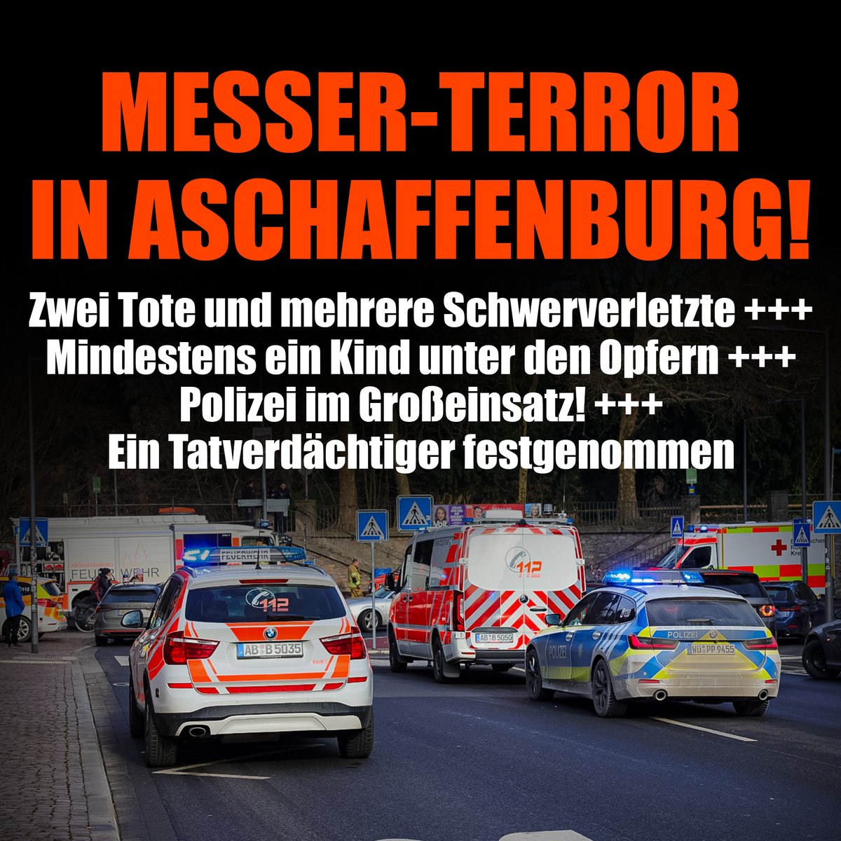 niusde_'s tweet photo. Mittlerweile bestätigt die Polizei auf X: Im Park Schöntal in Aschaffenburg soll es zu einem Messerangriff gekommen sein. Zwei Personen seien getötet worden. Ein Tatverdächtiger wurde in unmittelbarer Nähe des Tatortes festgenommen. https://t.co/XVVWQvV2Gz https://t.co/rQgT8nxxL1