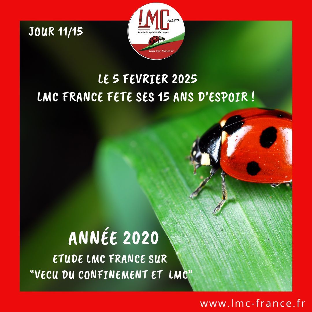LMCfrance's tweet photo. 🌟 2020 – Étude sur le vécu du confinement et LMC 🌟
Comprendre pour mieux accompagner 💙
📊 Découvrez l’étude ici : Vécu du confinement et LMC:https://t.co/8qgzgy6ybg  
#LMCFrance #ObservatoireLMC #VécuDuConfinement #SolidaritéEtRésilience https://t.co/pJrnIL6c5j