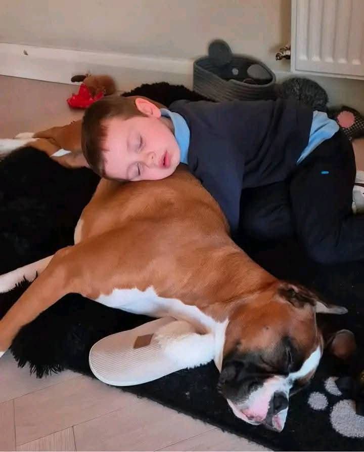Boxerheave40's tweet photo. My Princess is 19 today!🎂🎊🎁🎉 https://t.co/tKlE8PofnW
