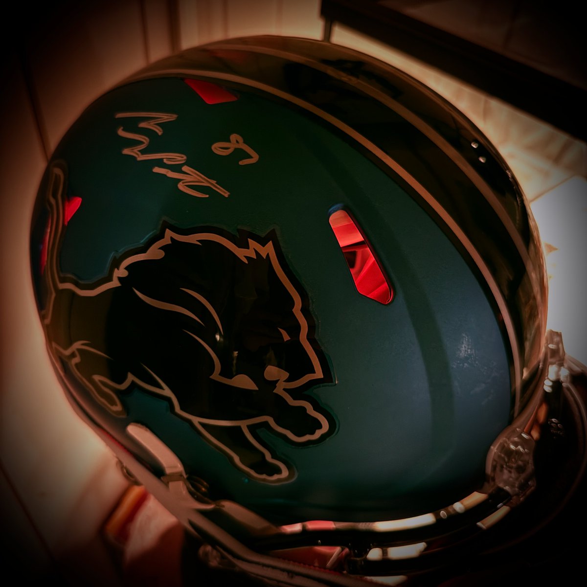 Yo <a href="/Samlaporta/">Sam LaPorta</a> I have your helmet, buddy! Love watching you play, great season all around - can't wait to see y'all play again!! #Lions