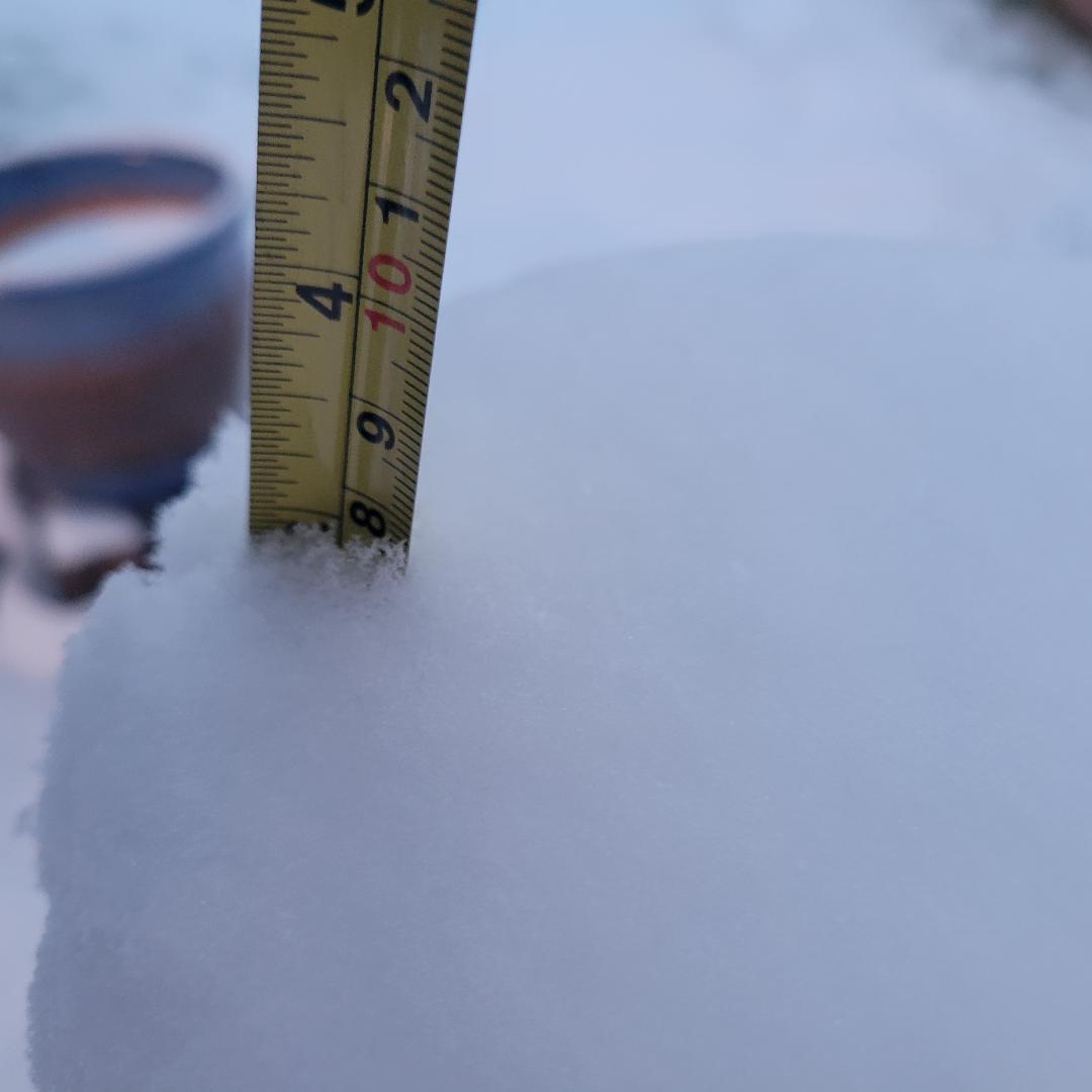 PhillipWms's tweet photo. @NWSMoreheadCity 3 inches in Winterville, NC 1-23-25. Great job, NWS Newport! https://t.co/Ly7ywNm4nt