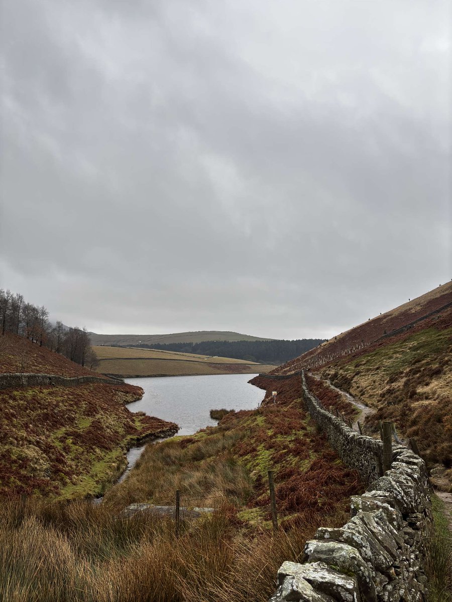 Peak A Month tweet media