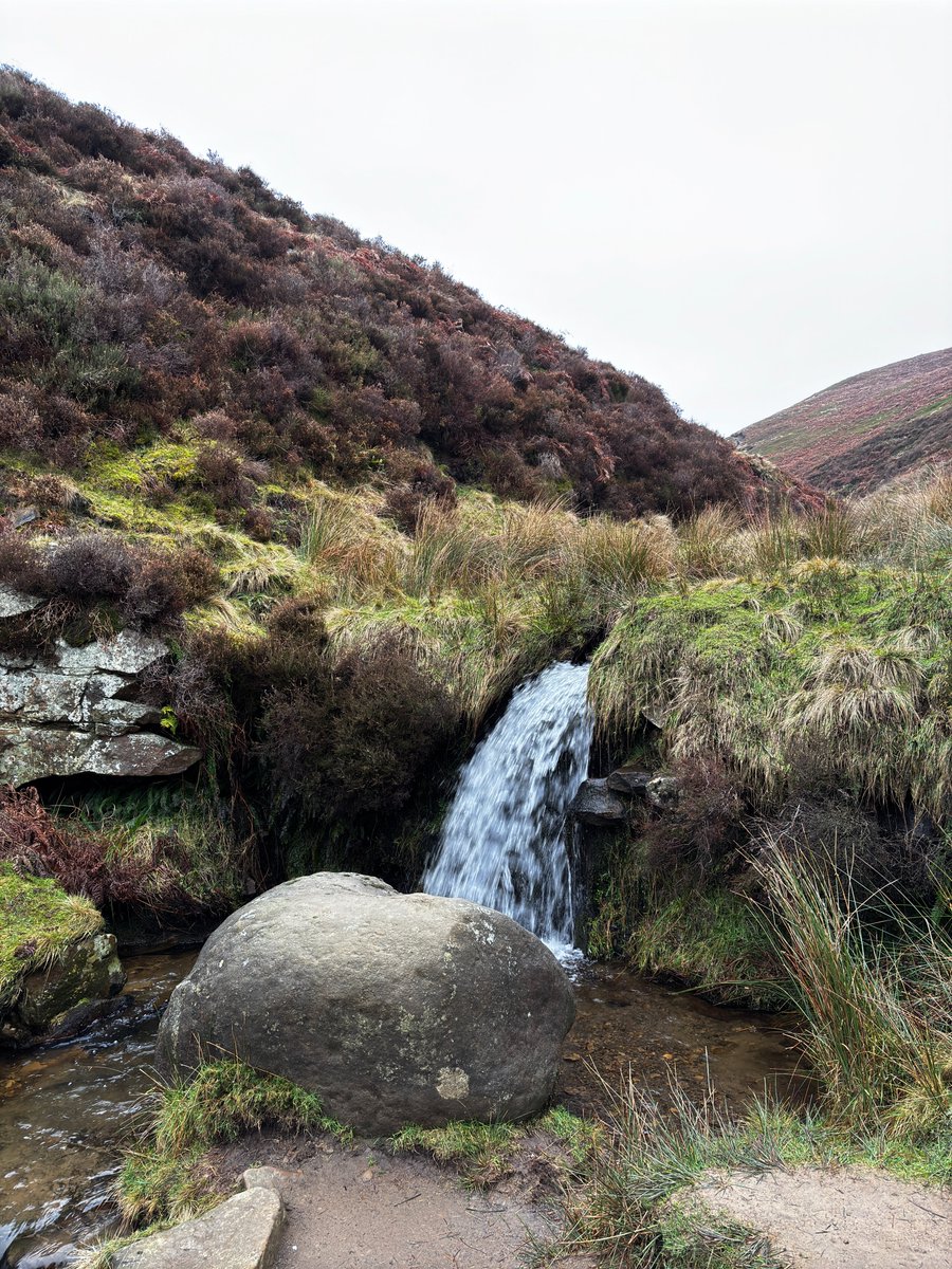 Peak A Month tweet media