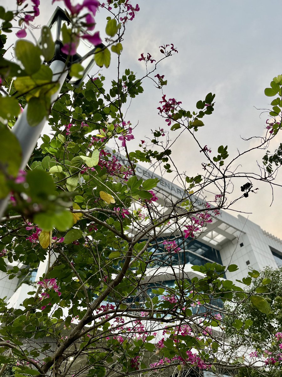 iasifnirfaz's tweet photo. Anna Centenary Library, Chennai 📸 https://t.co/wnYMK1bqla